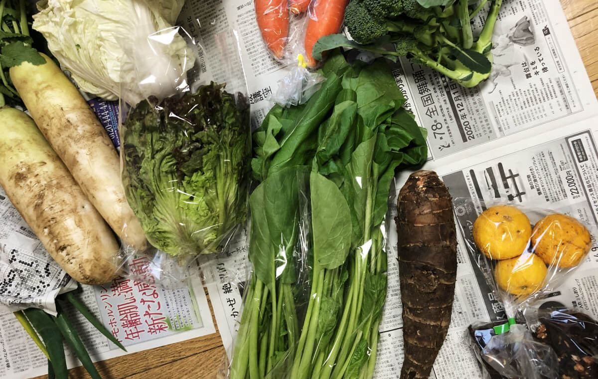 田舎の無人野菜販売所と家庭菜園